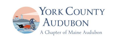 York County Audubon